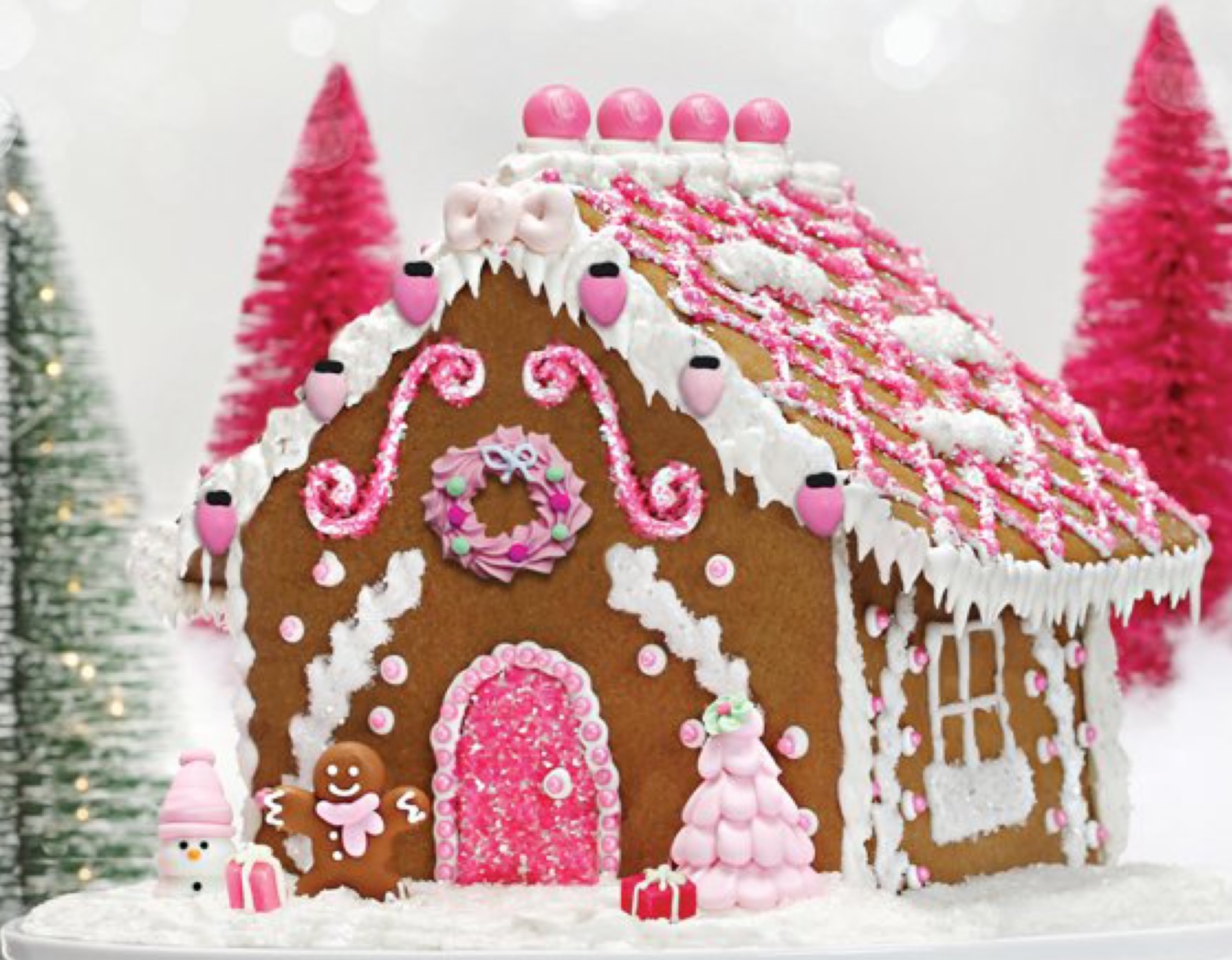 Gingerbread house for Winter Warm-Up