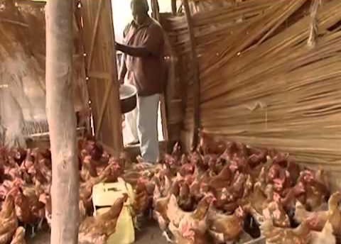 Children enjoying eggs at a school breakfast